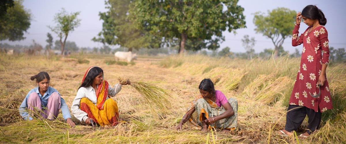 water india