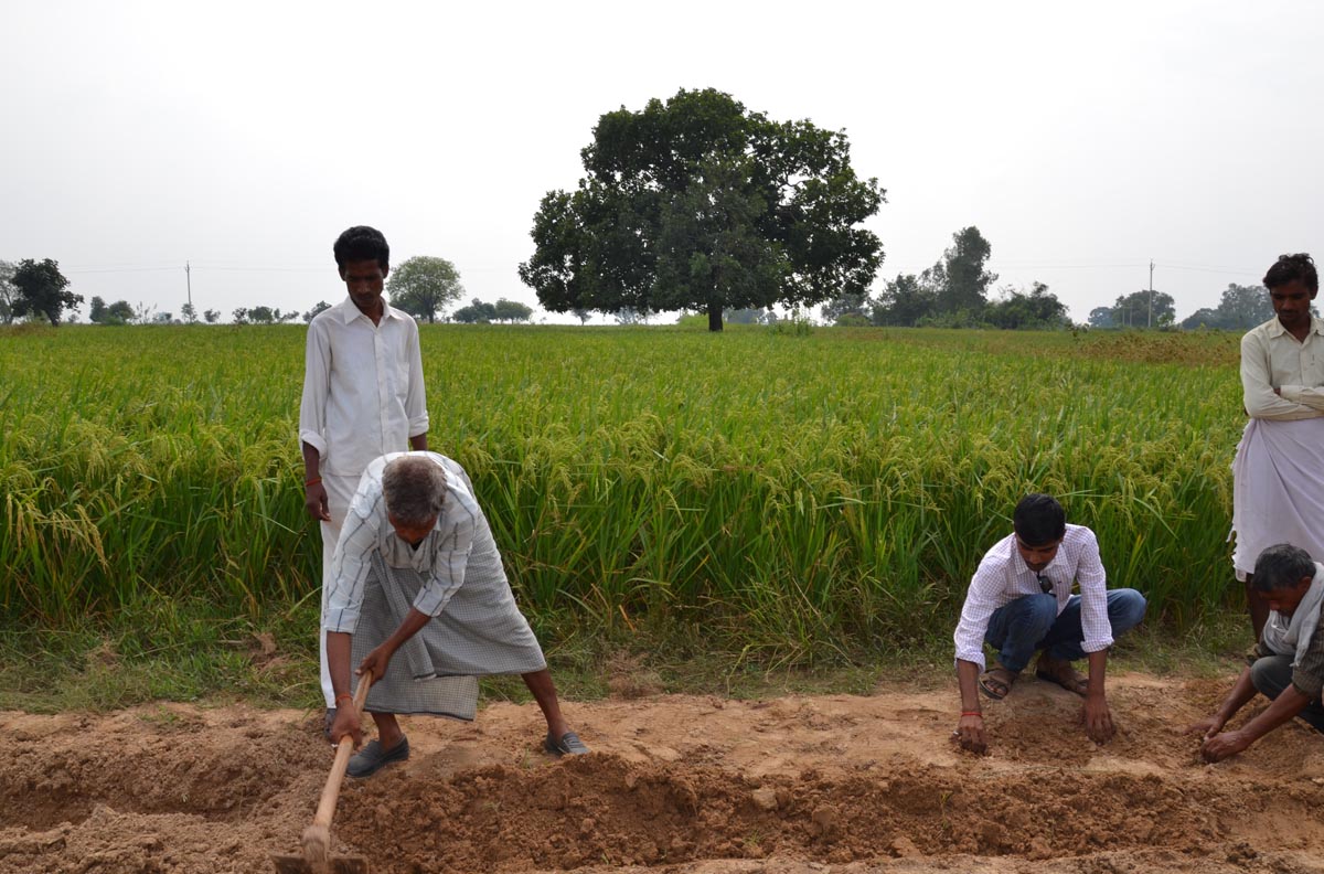 bargarh